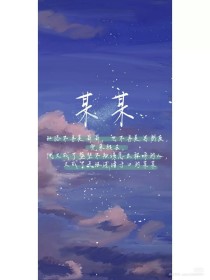 大菠萝福建导航